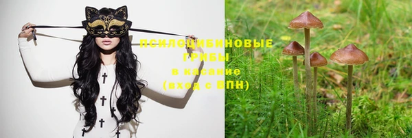 не бодяженный Кущёвская