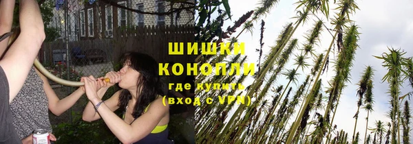 гашик Кукмор