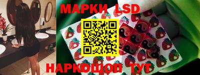гашик Донецк