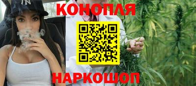 гашик Донецк