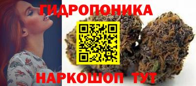 мдпв Дубна