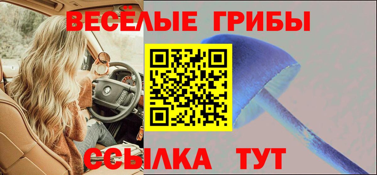 Галлюциногенные грибы Psilocybine cubensis Рыбинск