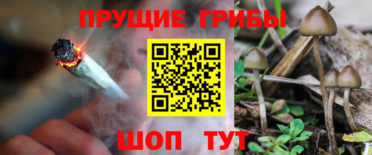 Рыбинск  Псилоцибиновые грибы ЛСД  Вход с VPN 